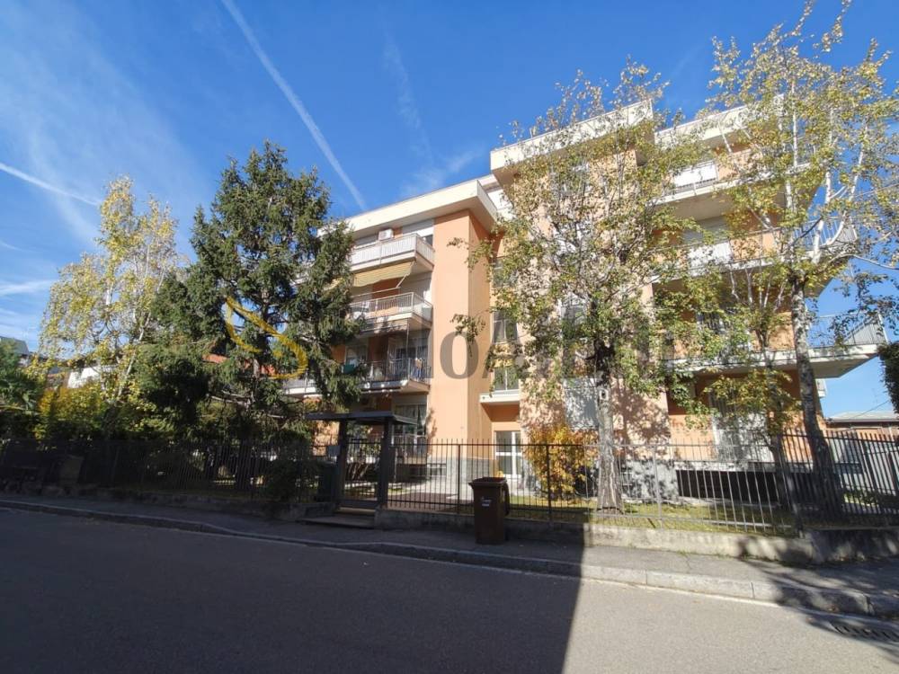 immagine annuncio 13 di 14