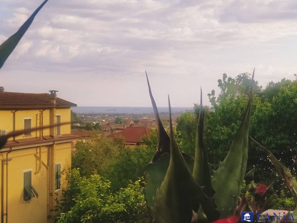 immagine annuncio 1 di 9