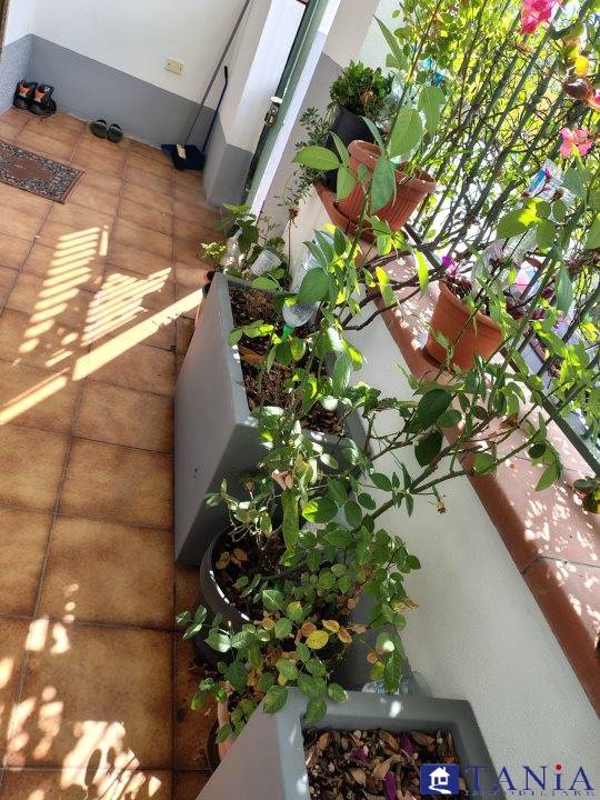 immagine annuncio 5 di 9