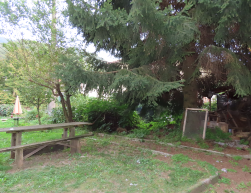 immagine annuncio 2 di 13