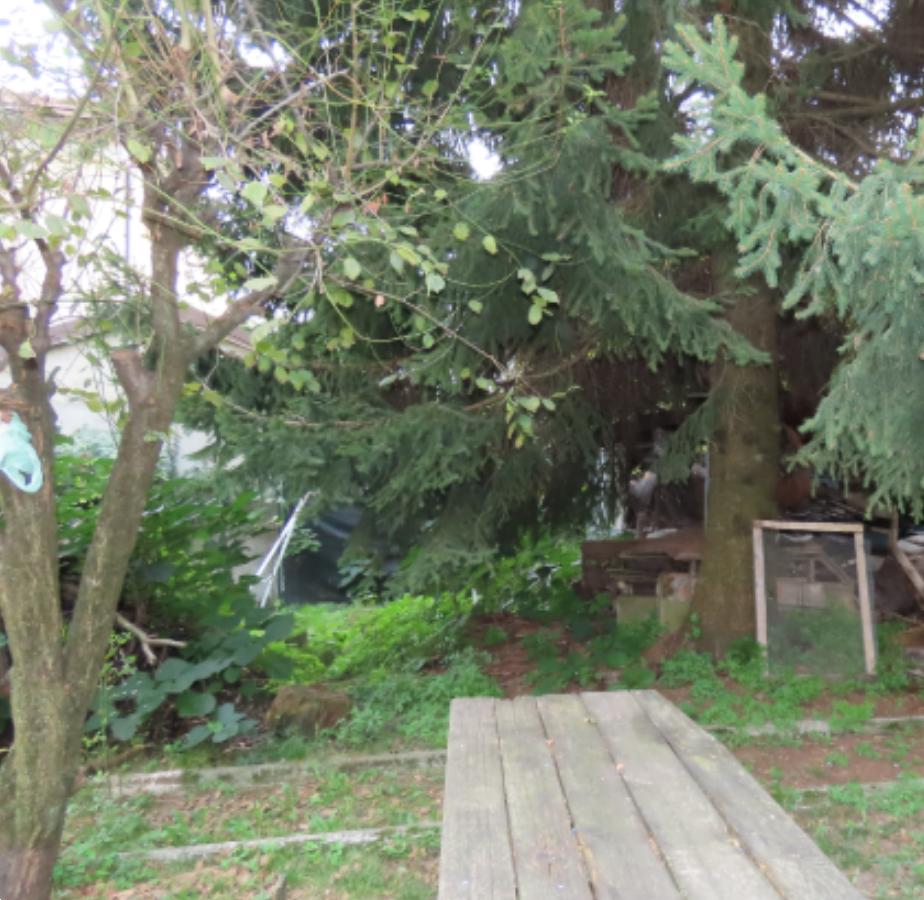 immagine annuncio 4 di 13