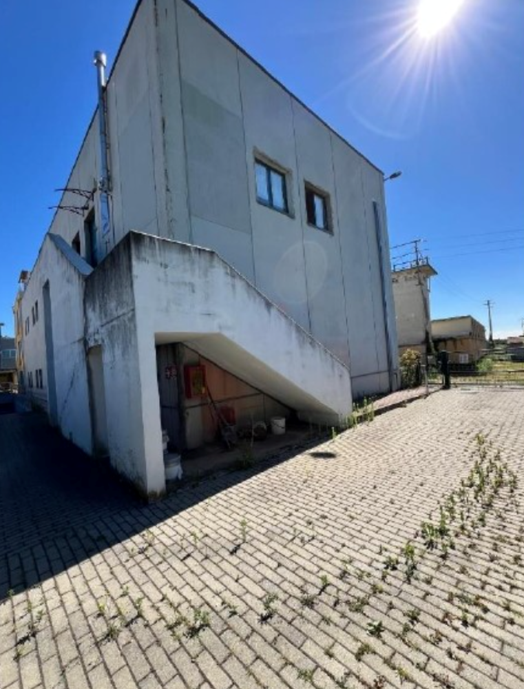 immagine annuncio 3 di 13