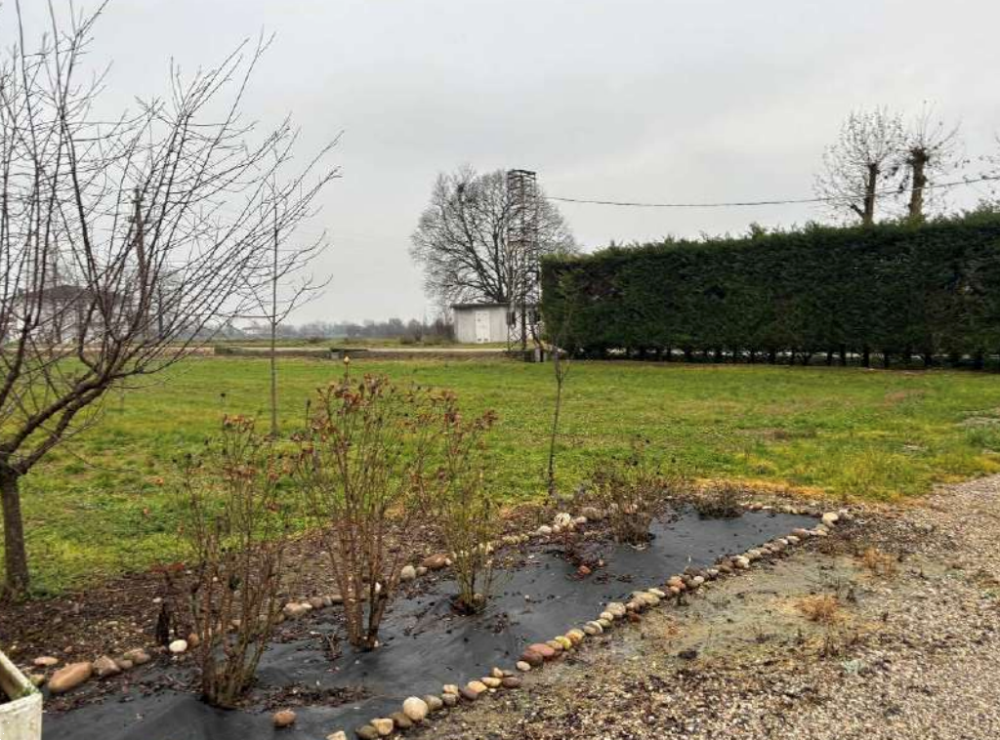 immagine annuncio 4 di 13