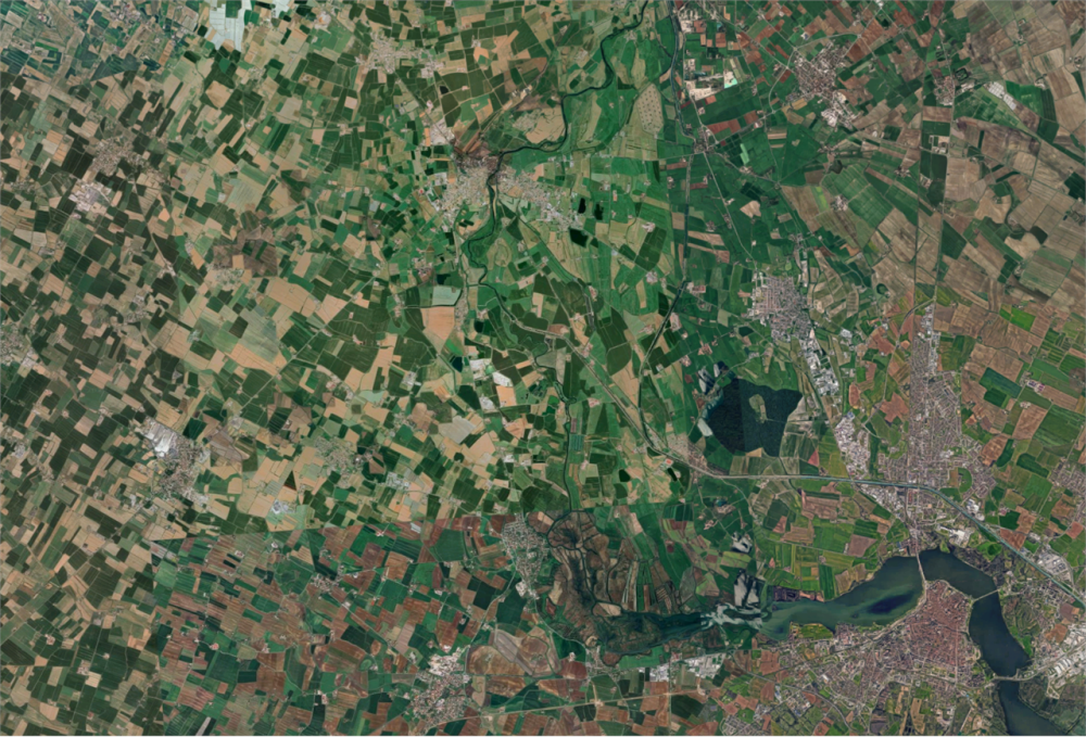 immagine annuncio 12 di 13