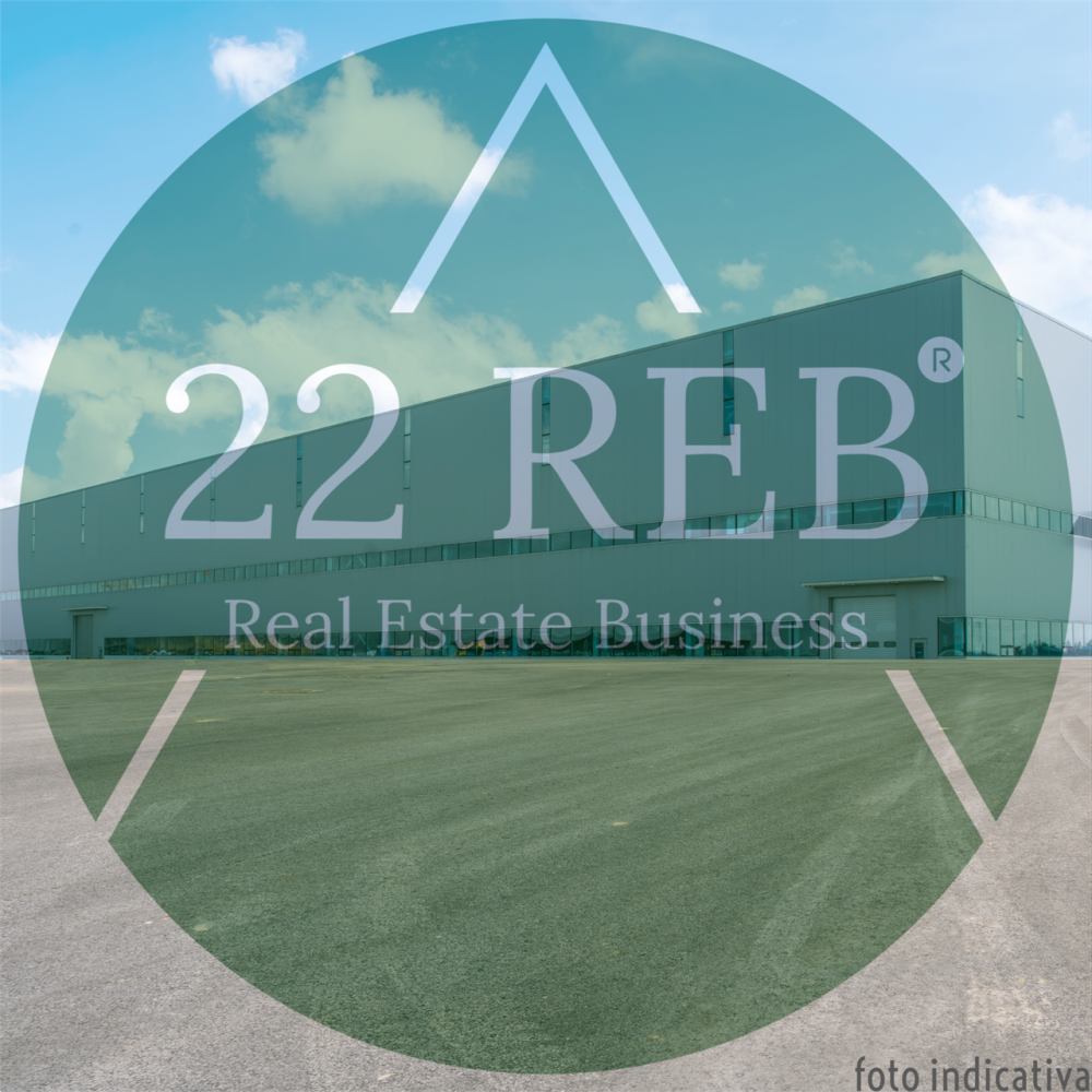 immagine annuncio 2 di 13