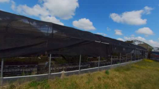 immagine annuncio 3 di 13