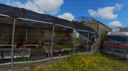 immagine annuncio 4 di 13