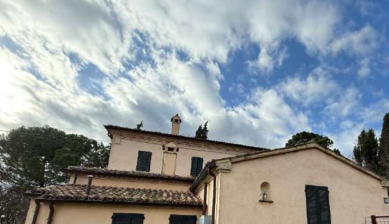 immagine annuncio 4 di 13