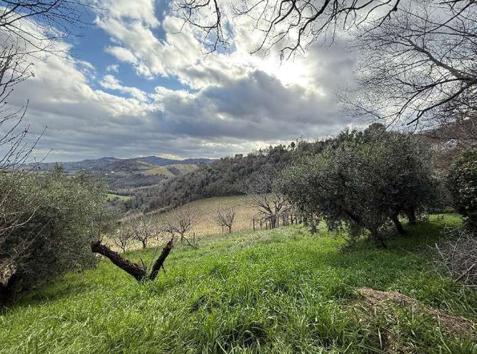 immagine annuncio 8 di 13