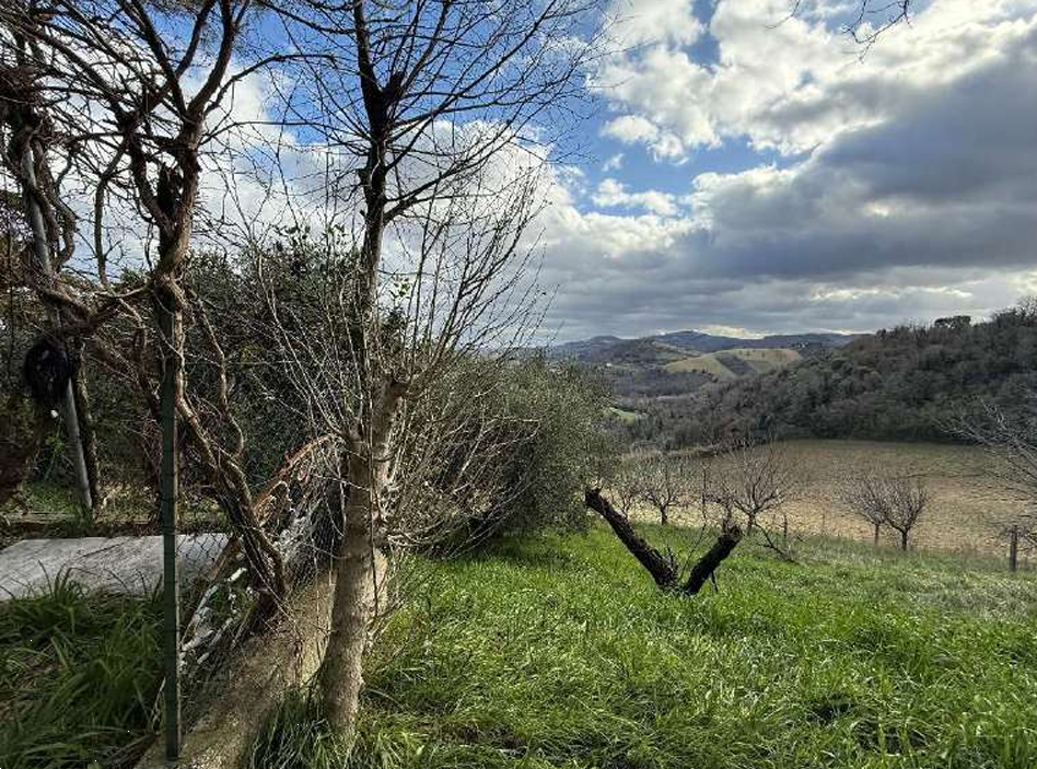 immagine annuncio 9 di 13