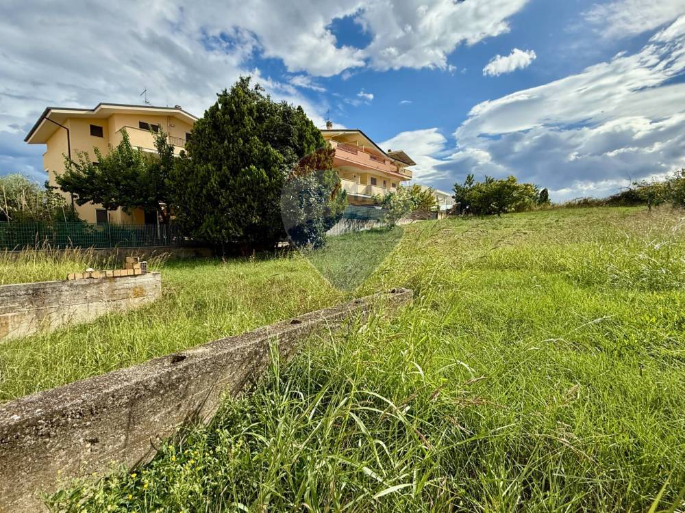 immagine annuncio 2 di 7