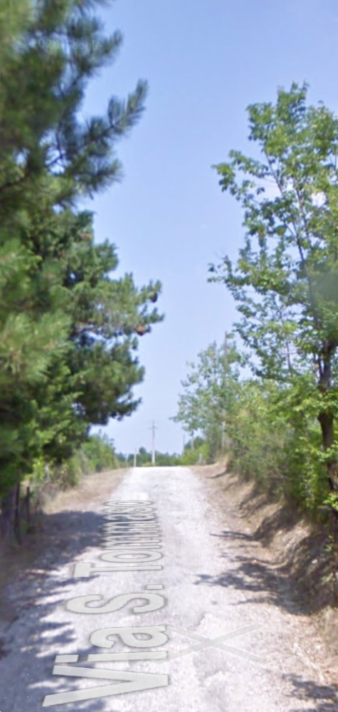 immagine annuncio 3 di 11