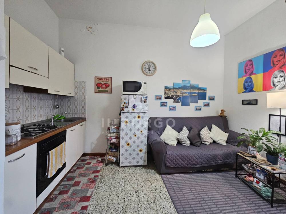 immagine annuncio 5 di 13