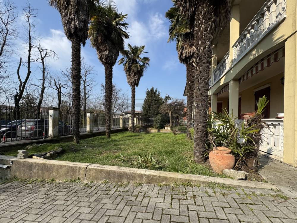 immagine annuncio 11 di 13