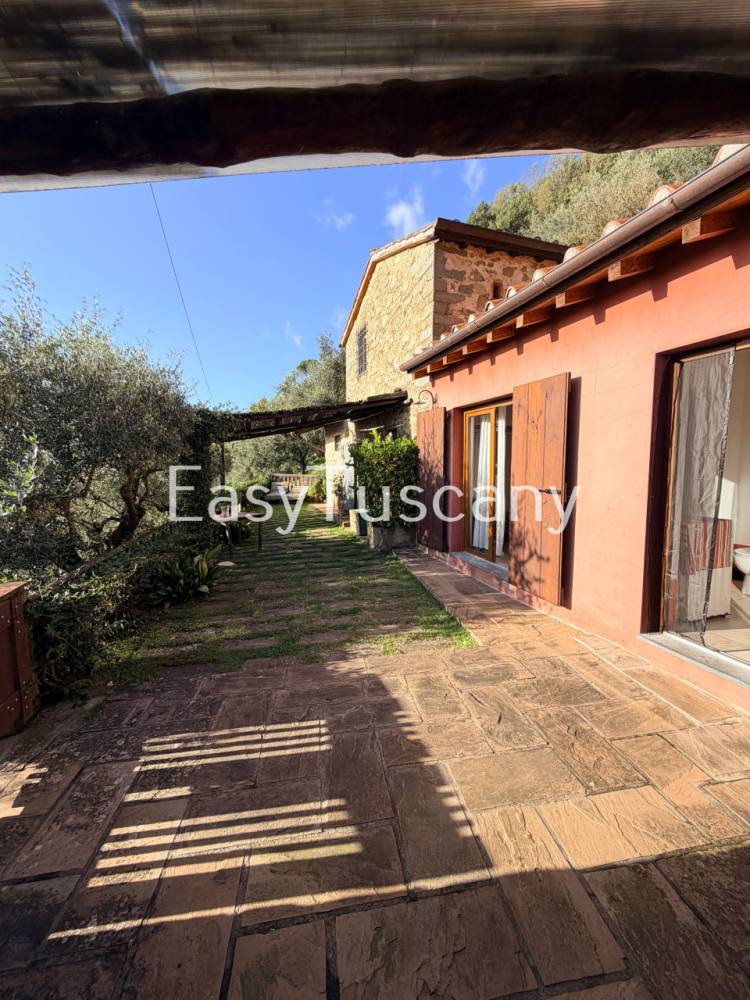 immagine annuncio 2 di 13