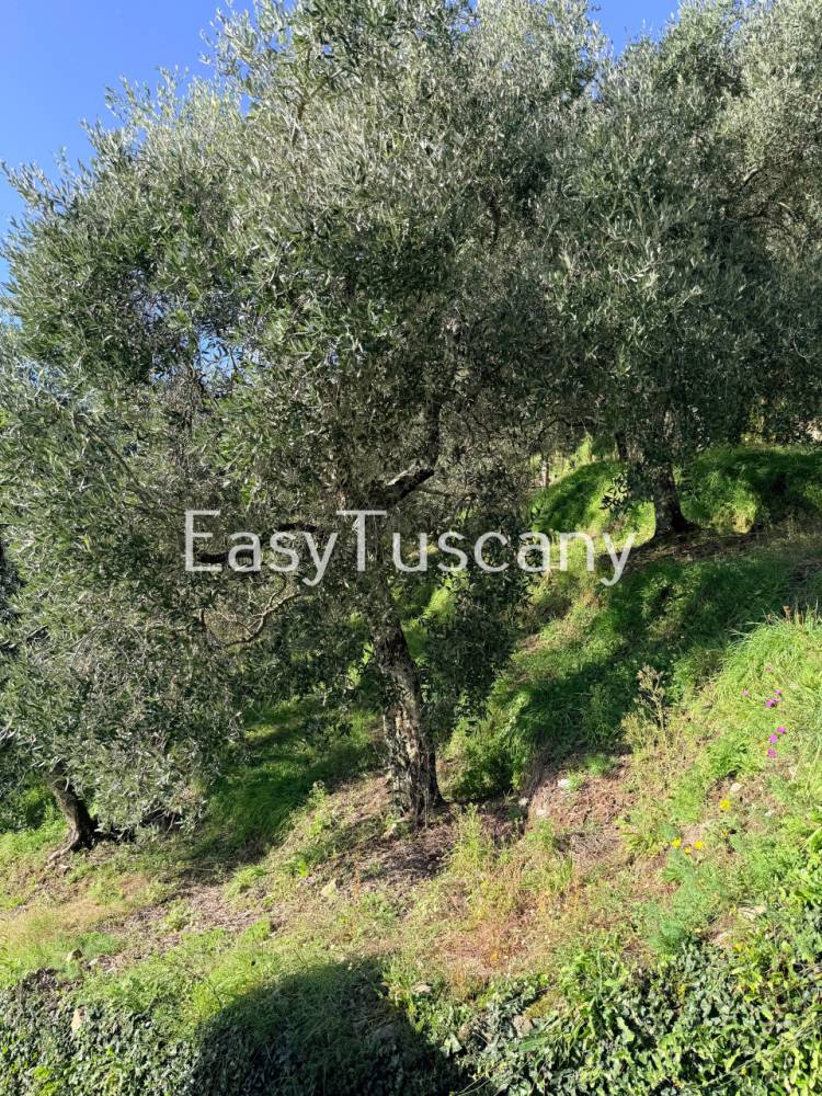 immagine annuncio 8 di 13