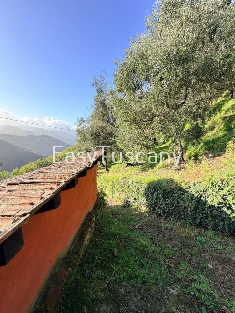 immagine annuncio 9 di 13