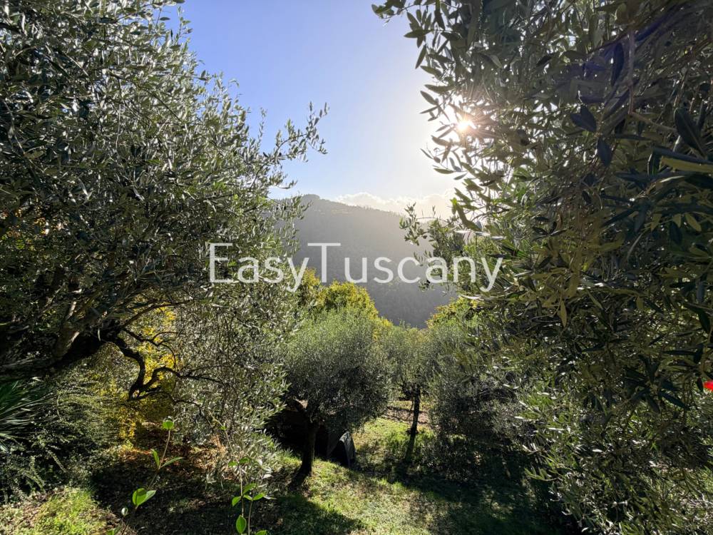 immagine annuncio 10 di 13