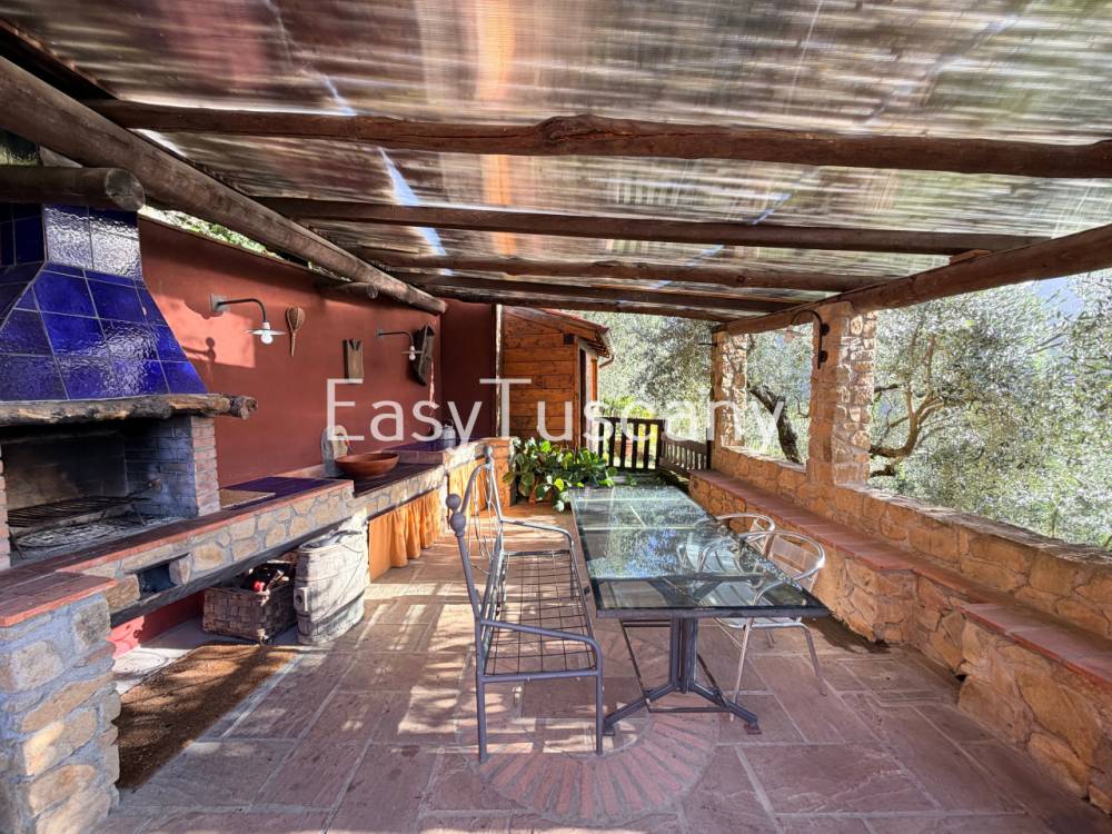 immagine annuncio 6 di 13