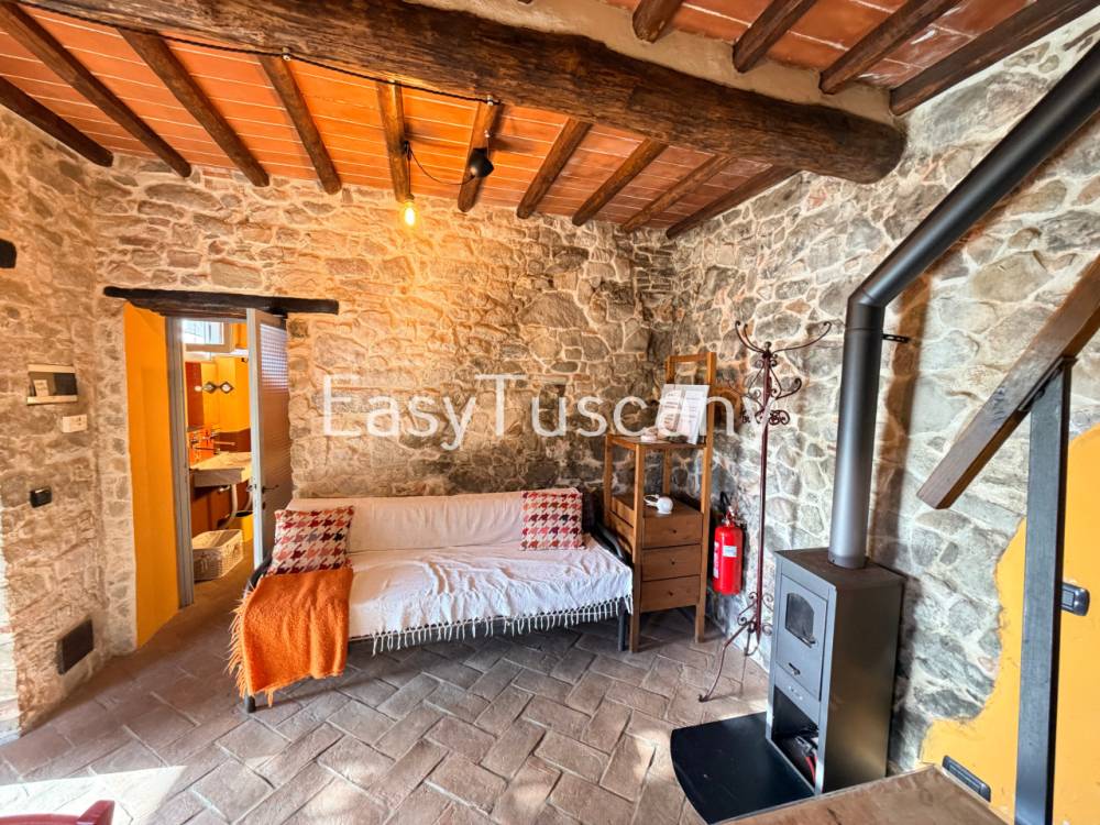 immagine annuncio 12 di 13