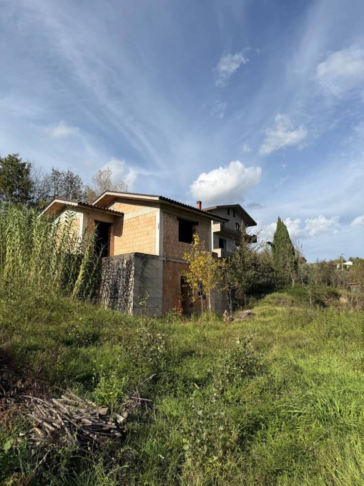 immagine annuncio 2 di 6