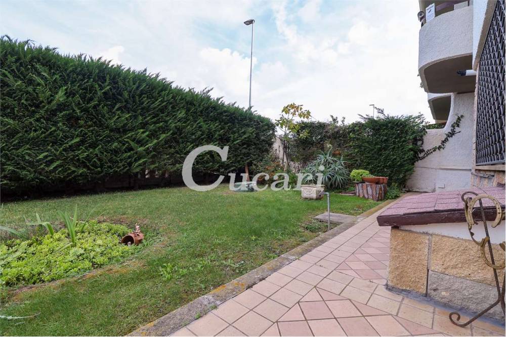 immagine annuncio 3 di 13