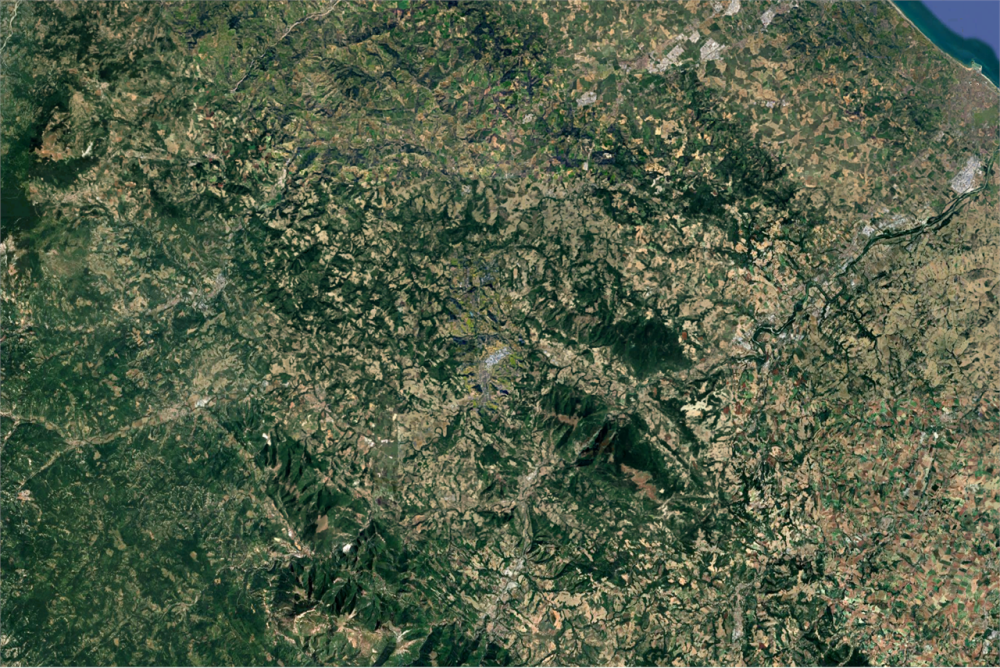 immagine annuncio 3 di 13