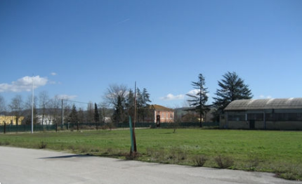 immagine annuncio 3 di 13