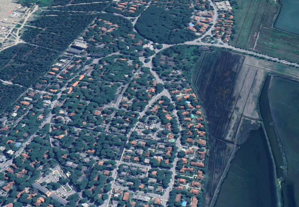 immagine annuncio 5 di 13