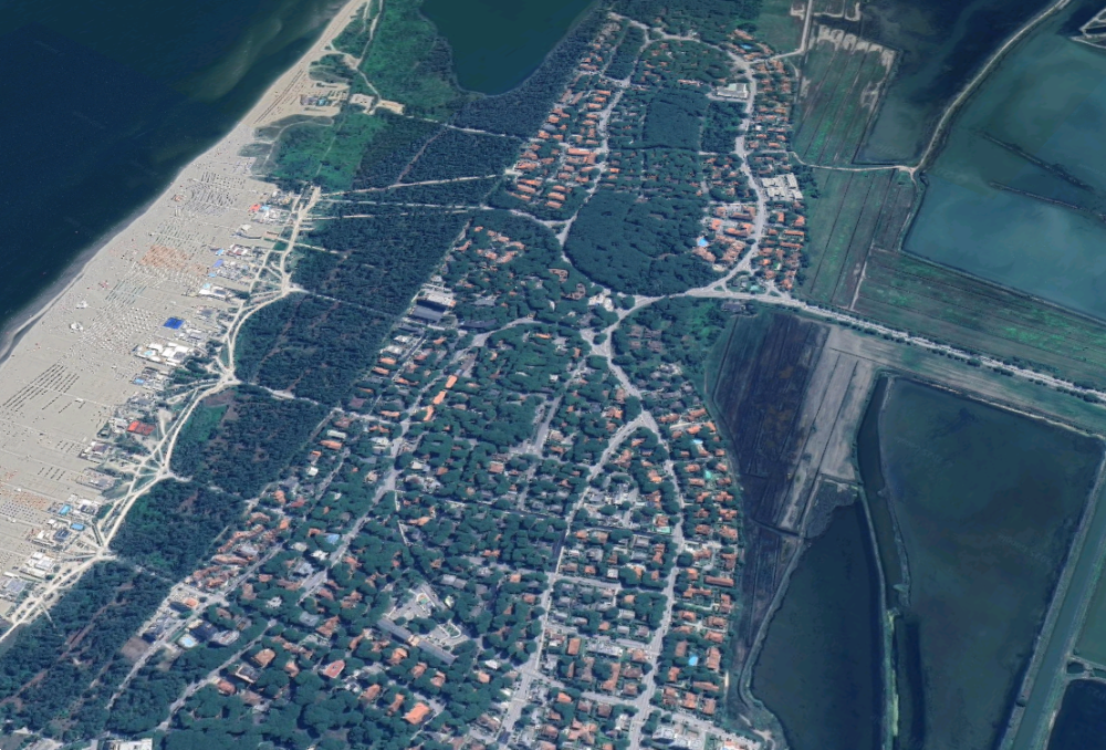 immagine annuncio 6 di 13