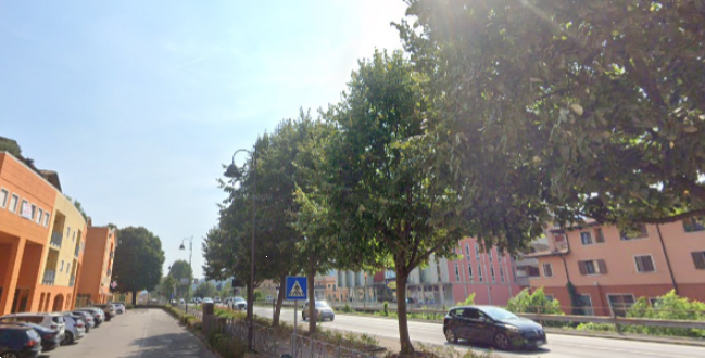 immagine annuncio 1 di 13