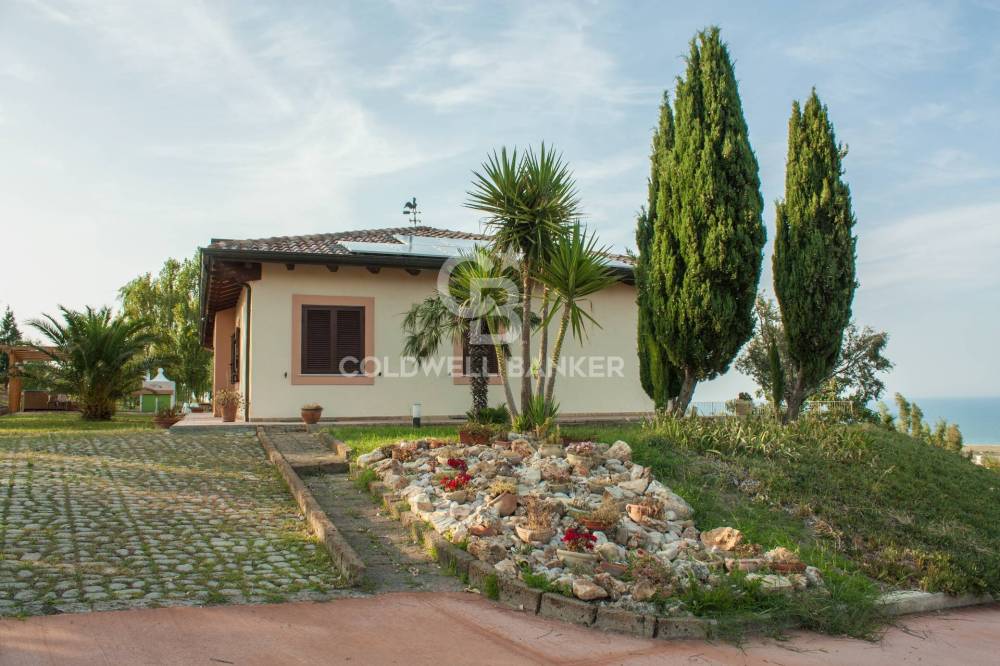 immagine annuncio 4 di 13