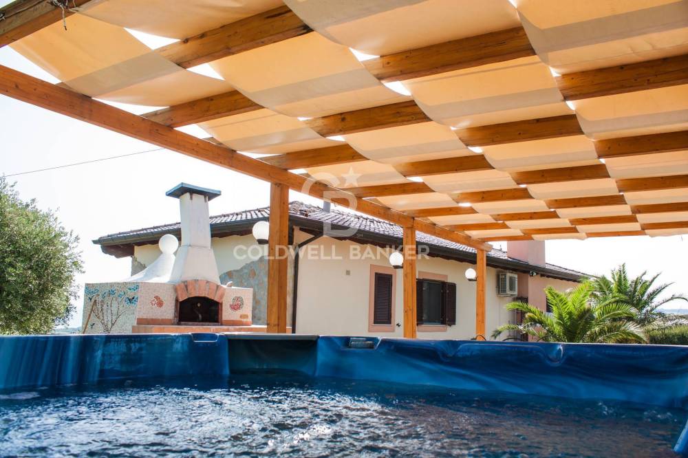 immagine annuncio 10 di 13