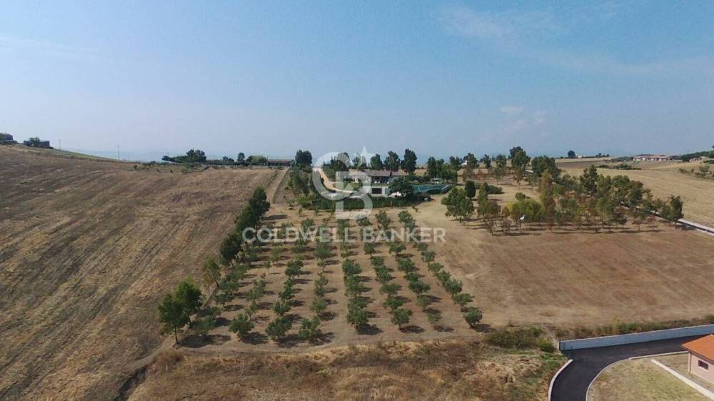 immagine annuncio 11 di 13