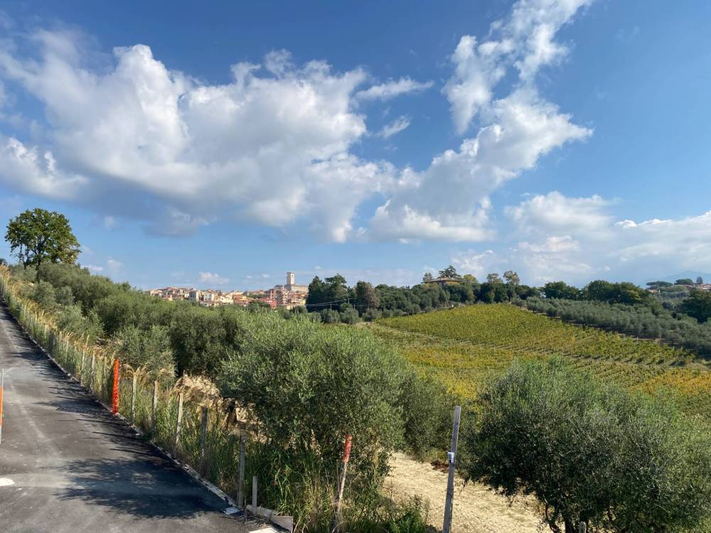 immagine annuncio 7 di 13