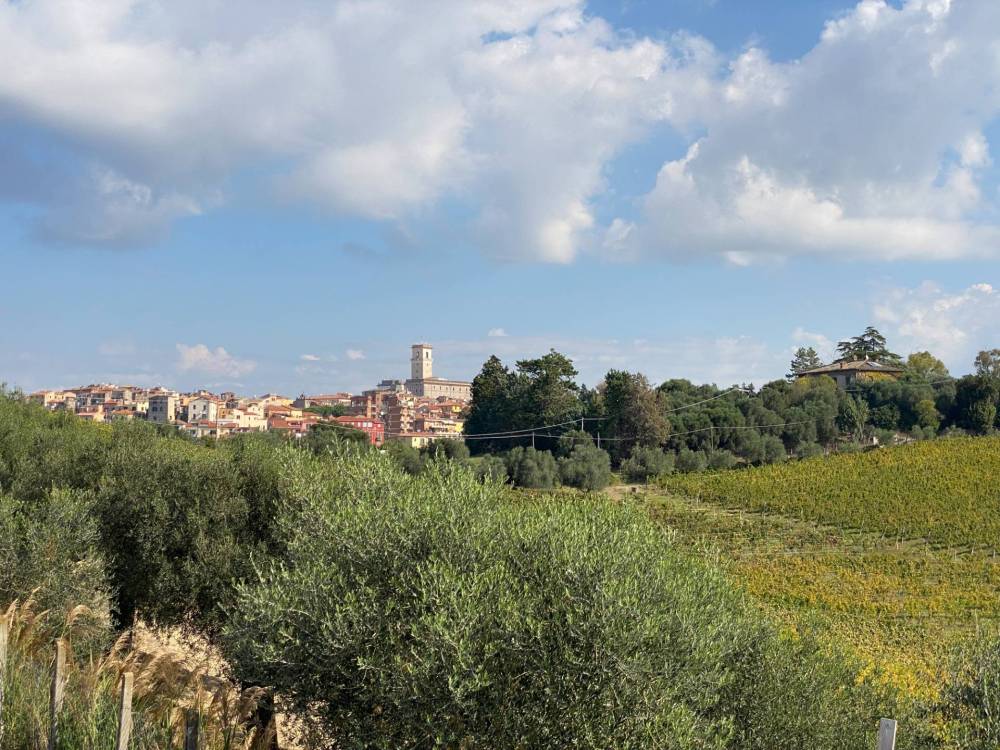 immagine annuncio 2 di 13