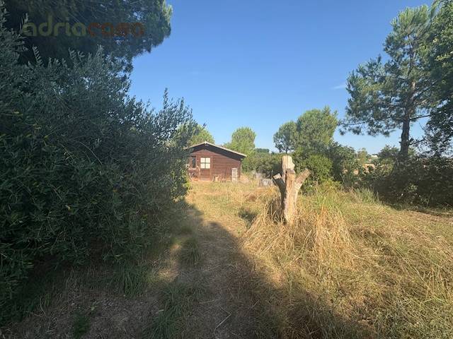 immagine annuncio 6 di 9