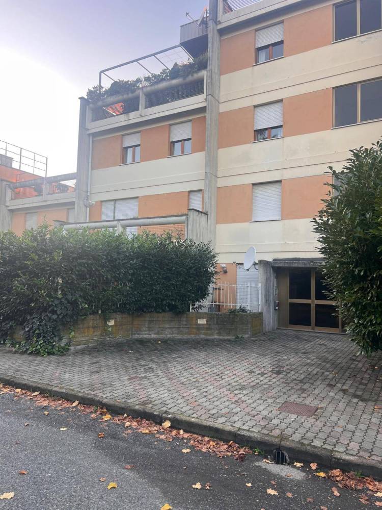 immagine annuncio 5 di 13