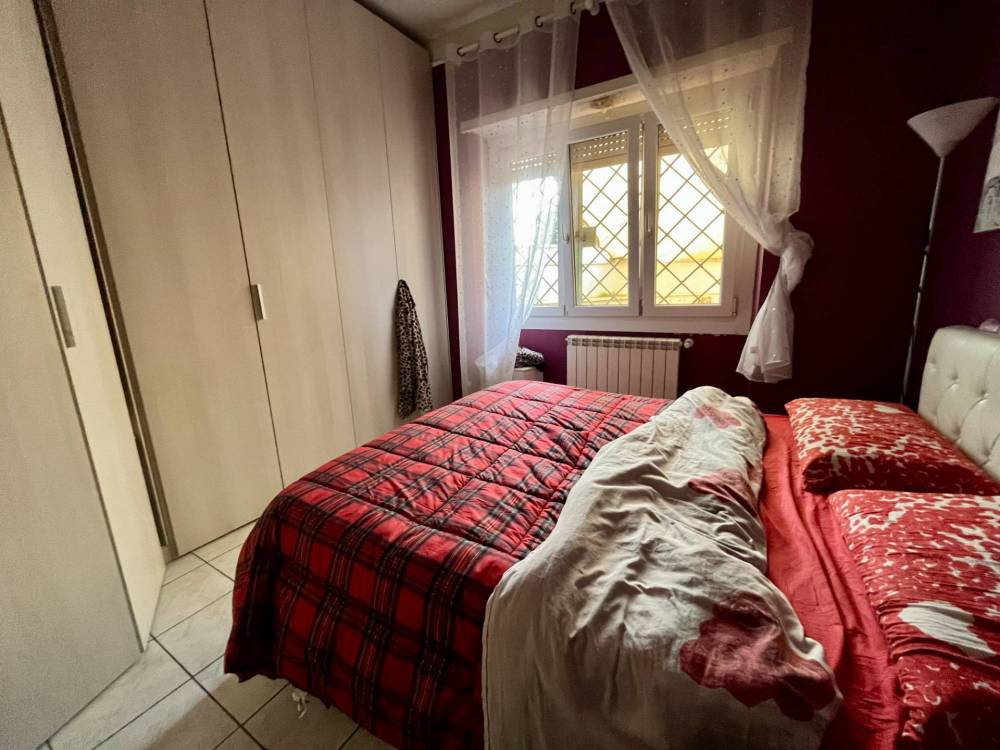 immagine annuncio 11 di 13