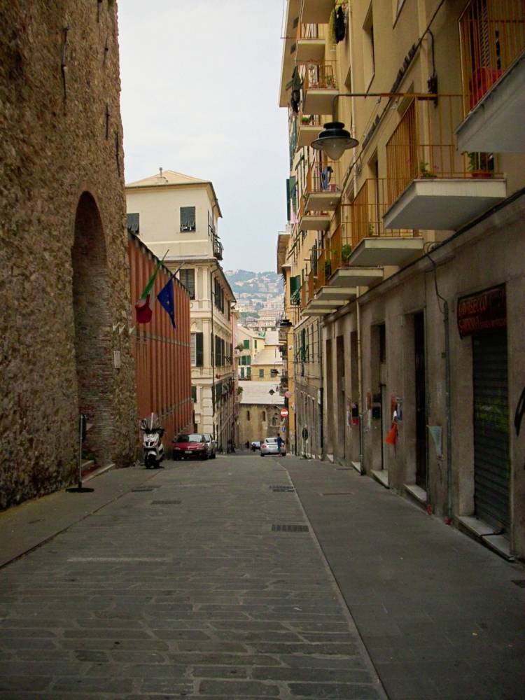 immagine annuncio 3 di 12