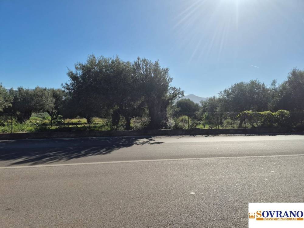 immagine annuncio 4 di 9