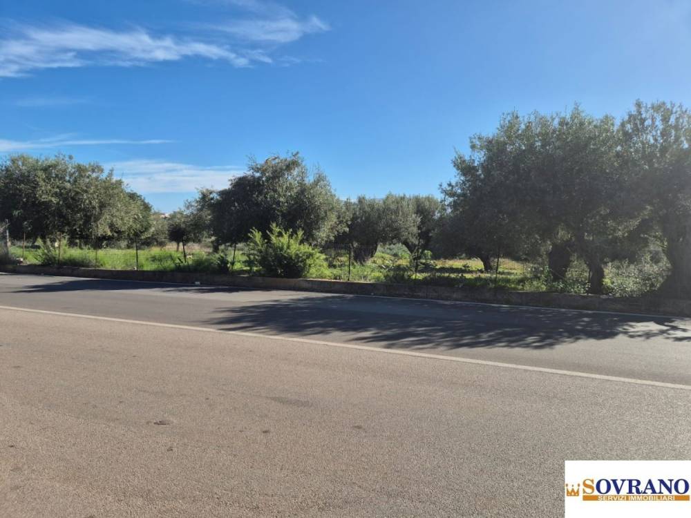 immagine annuncio 5 di 9