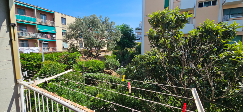 immagine annuncio 9 di 12