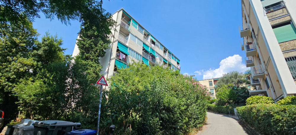 immagine annuncio 10 di 12