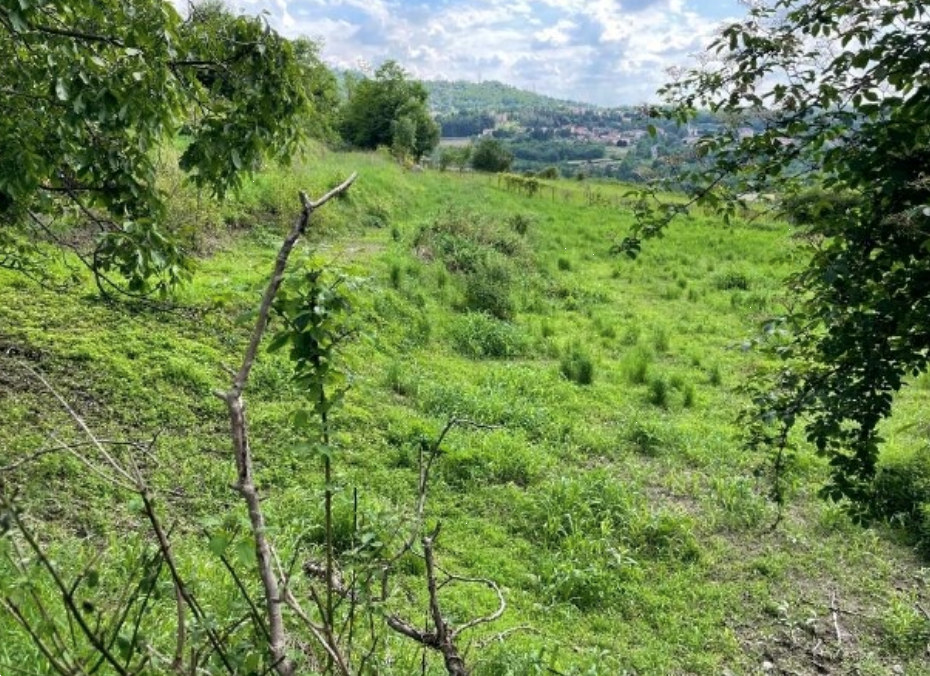 immagine annuncio 1 di 13