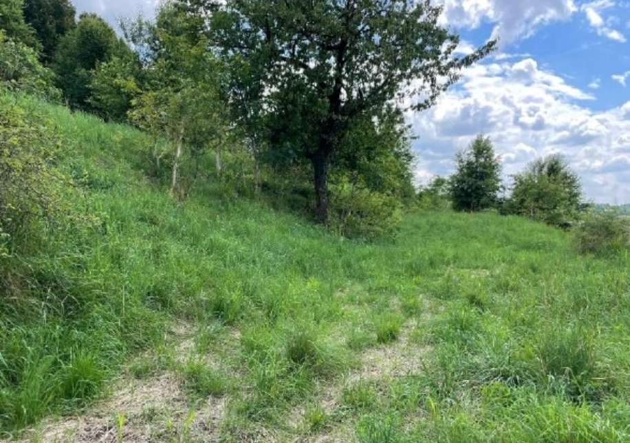 immagine annuncio 3 di 13