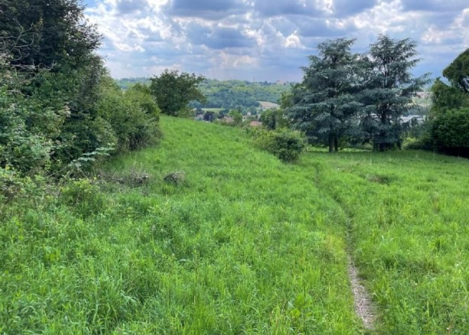 immagine annuncio 5 di 13