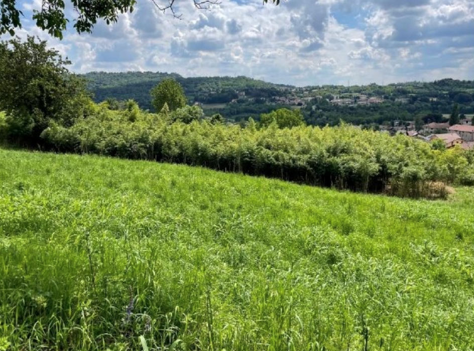 immagine annuncio 6 di 13