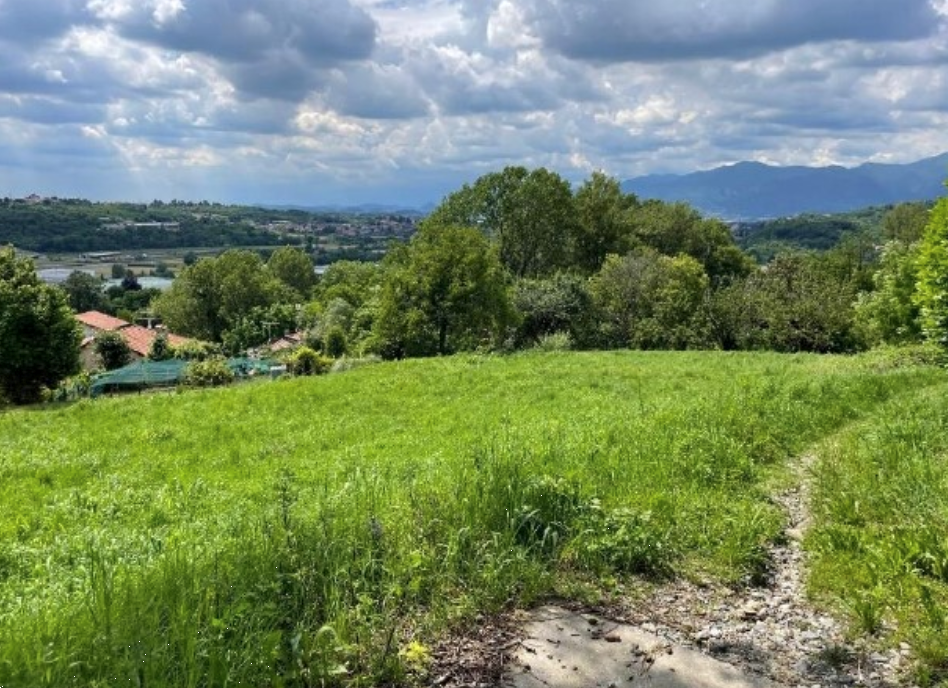 immagine annuncio 7 di 13