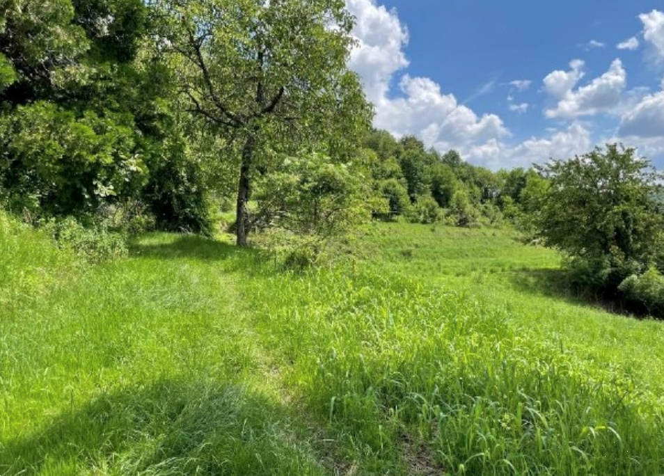 immagine annuncio 8 di 13